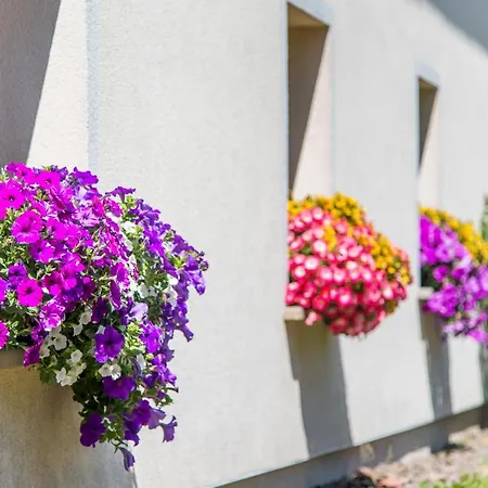 Wielka Sowa * Ober Wüstegiersdorf