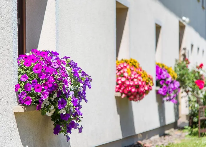 Apartament Wielka Sowa * Gluszyca Gorna